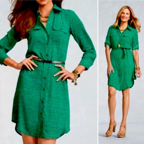 CAbi Dresses & Skirts - Cabi Green and White Dot Dress SM